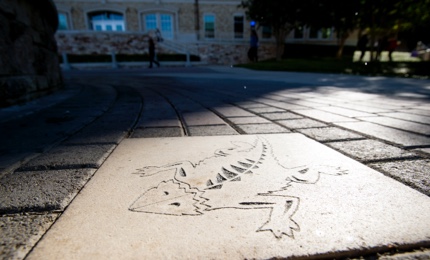 Large concrete paver featuring the TCU Horn Frog logo