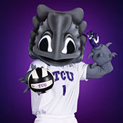 SuperFrog Volleyball