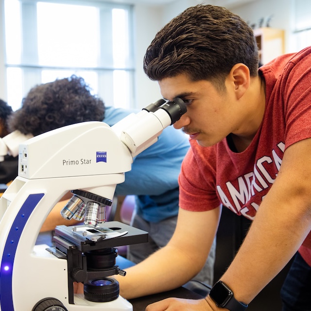 Biology student examines samples under microscope