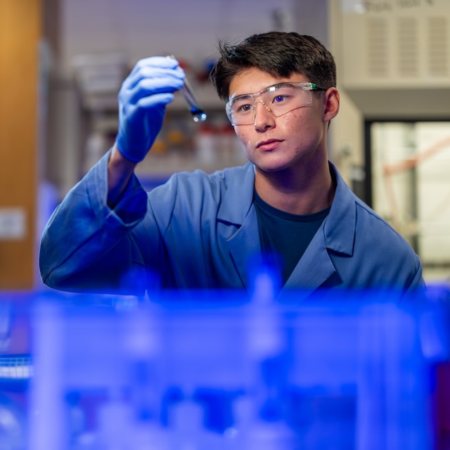 Student examines a test tube