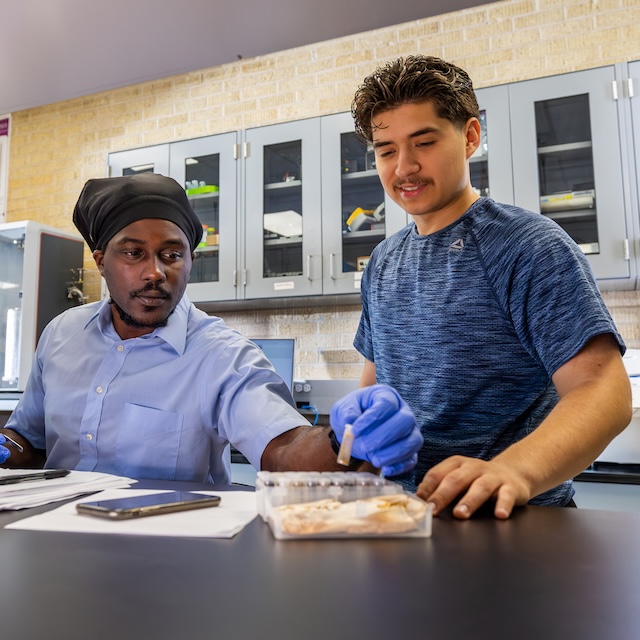 Students look over samples in lab